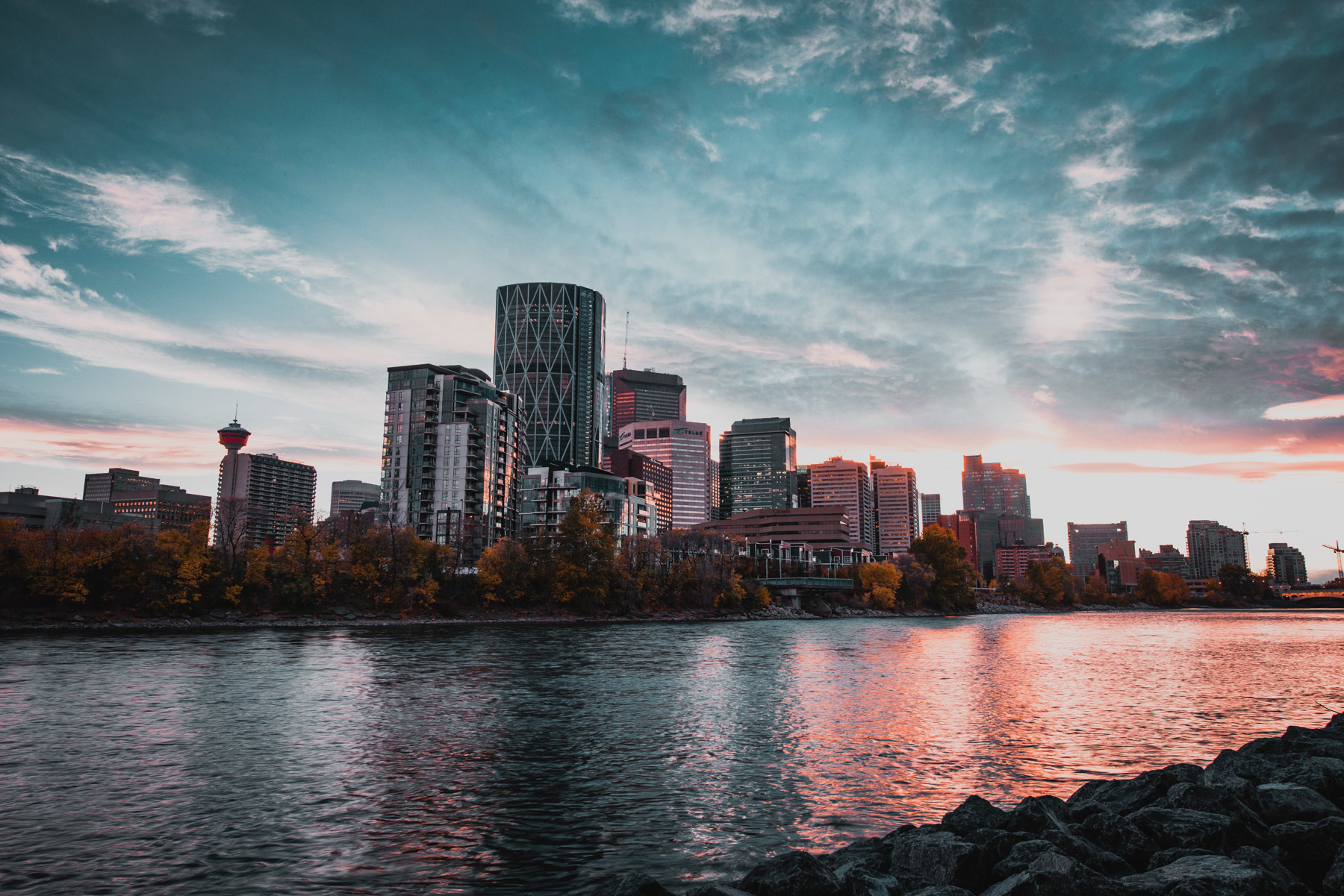 Calgary Infill REALTOR®